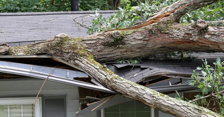 Large tree fallen on house roof causing damage in The Woodlands Texas.